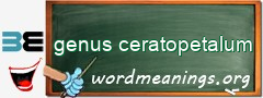 WordMeaning blackboard for genus ceratopetalum